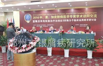 中、美、加学术交流大会主席台现场